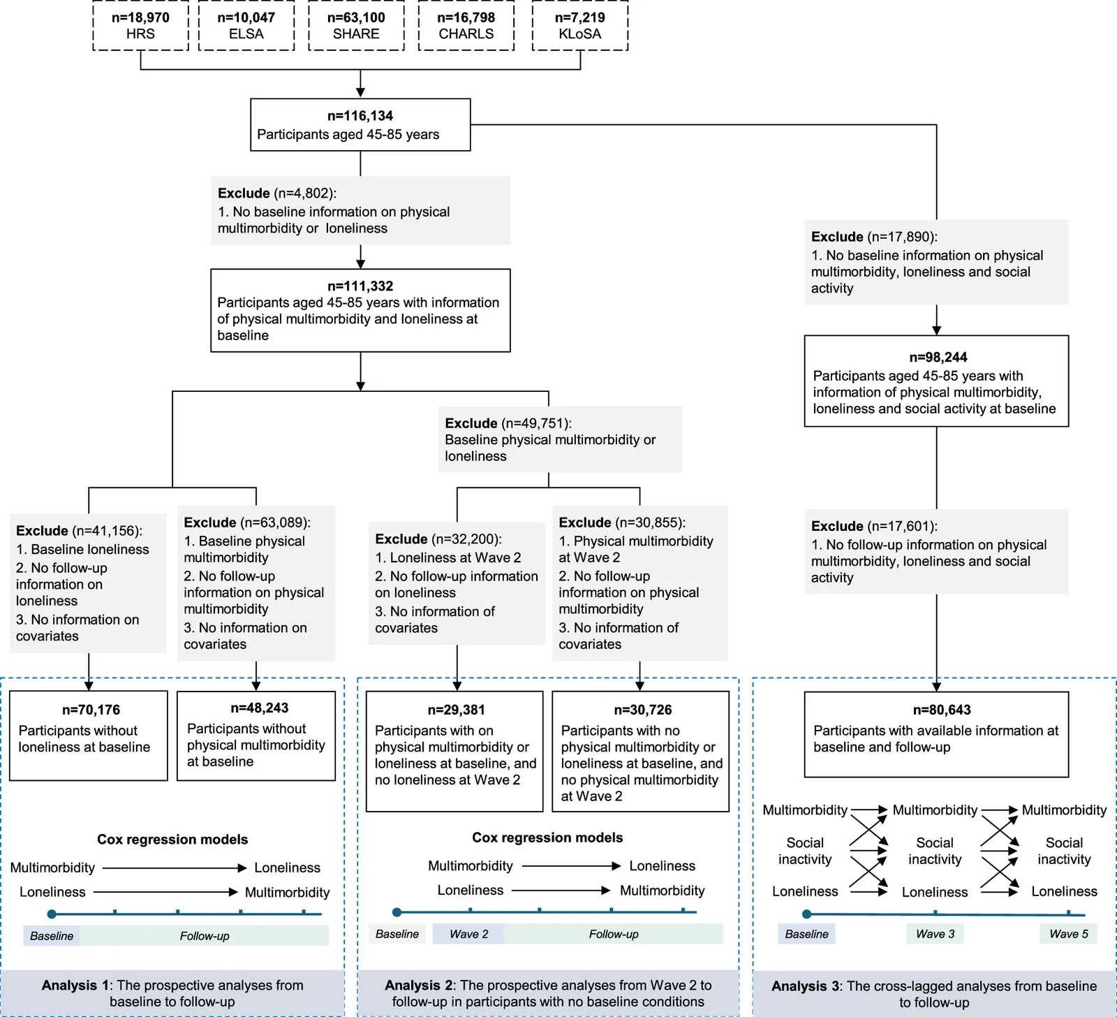 Fig. 1. The flowchart of the study design.