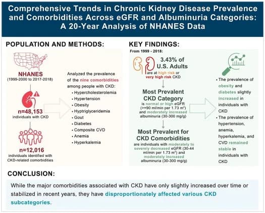 Graphical abstract from Renal Failure