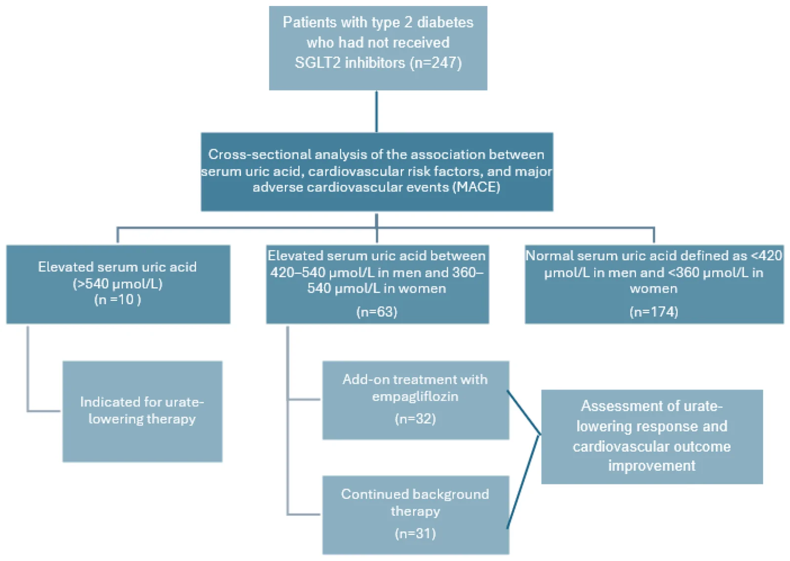 Figure 1. Study flow diagram. MACE = major adverse cardiovascular events, SGLT2 = sodium–glucose cotransporter 2.