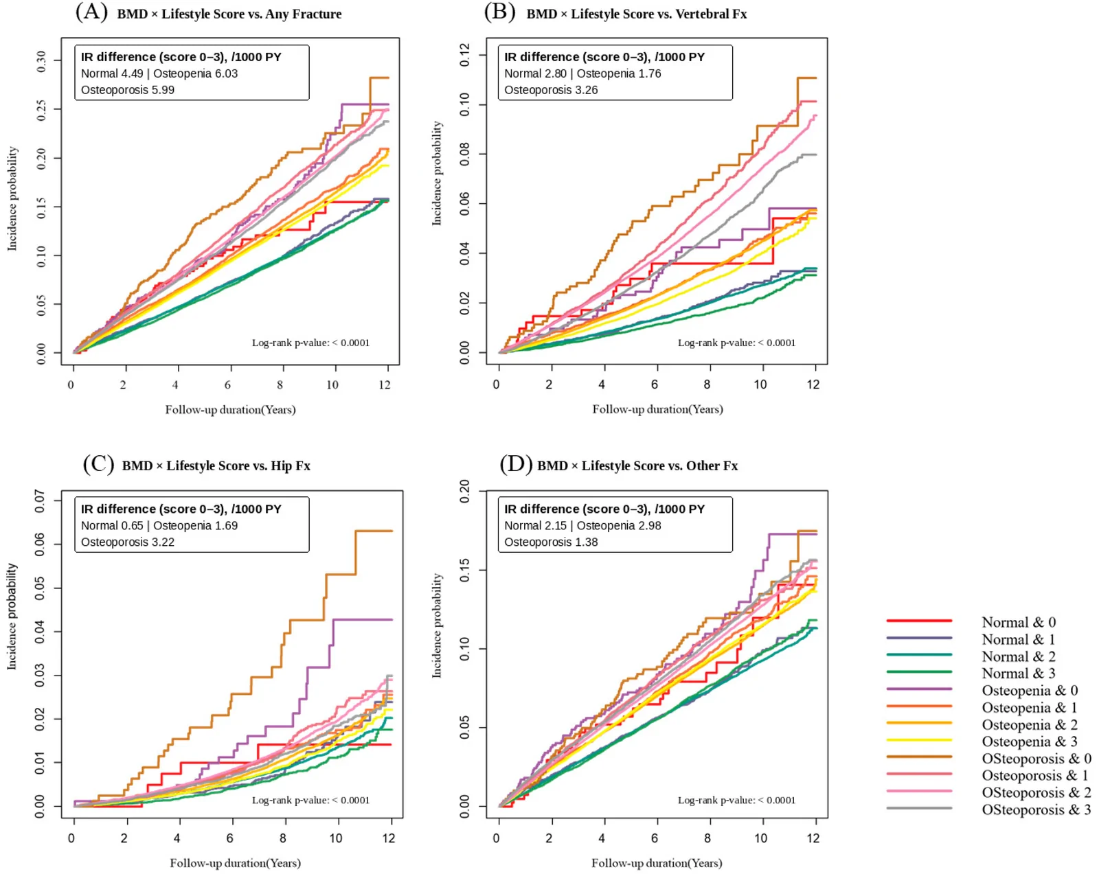 Figure 1. Kaplan–Meier cumulative incidence curves for osteoporotic fractures according to baseline bone mineral density category and lifestyle score.