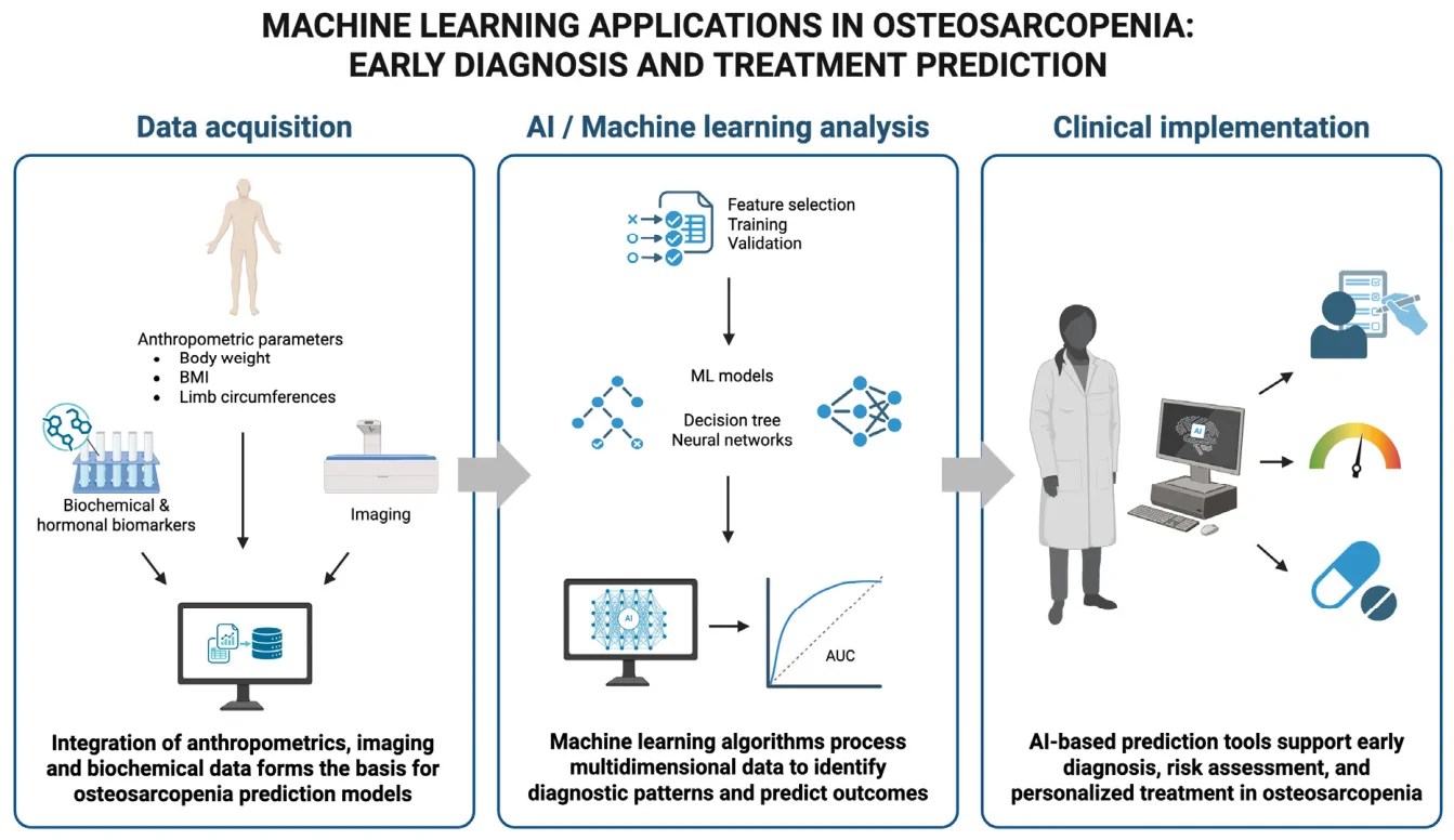 Figure 1. Schematic overview of the ML workflow for the early diagnosis and treatment prediction of osteosarcopenia.