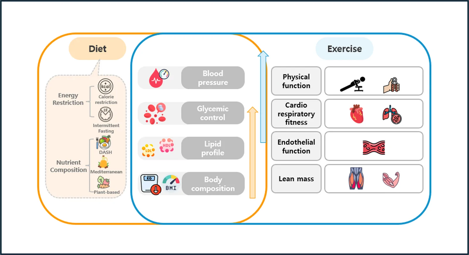 Fig. 1. Synergistic and independent effects of exercise and nutrition on cardiometabolic health
