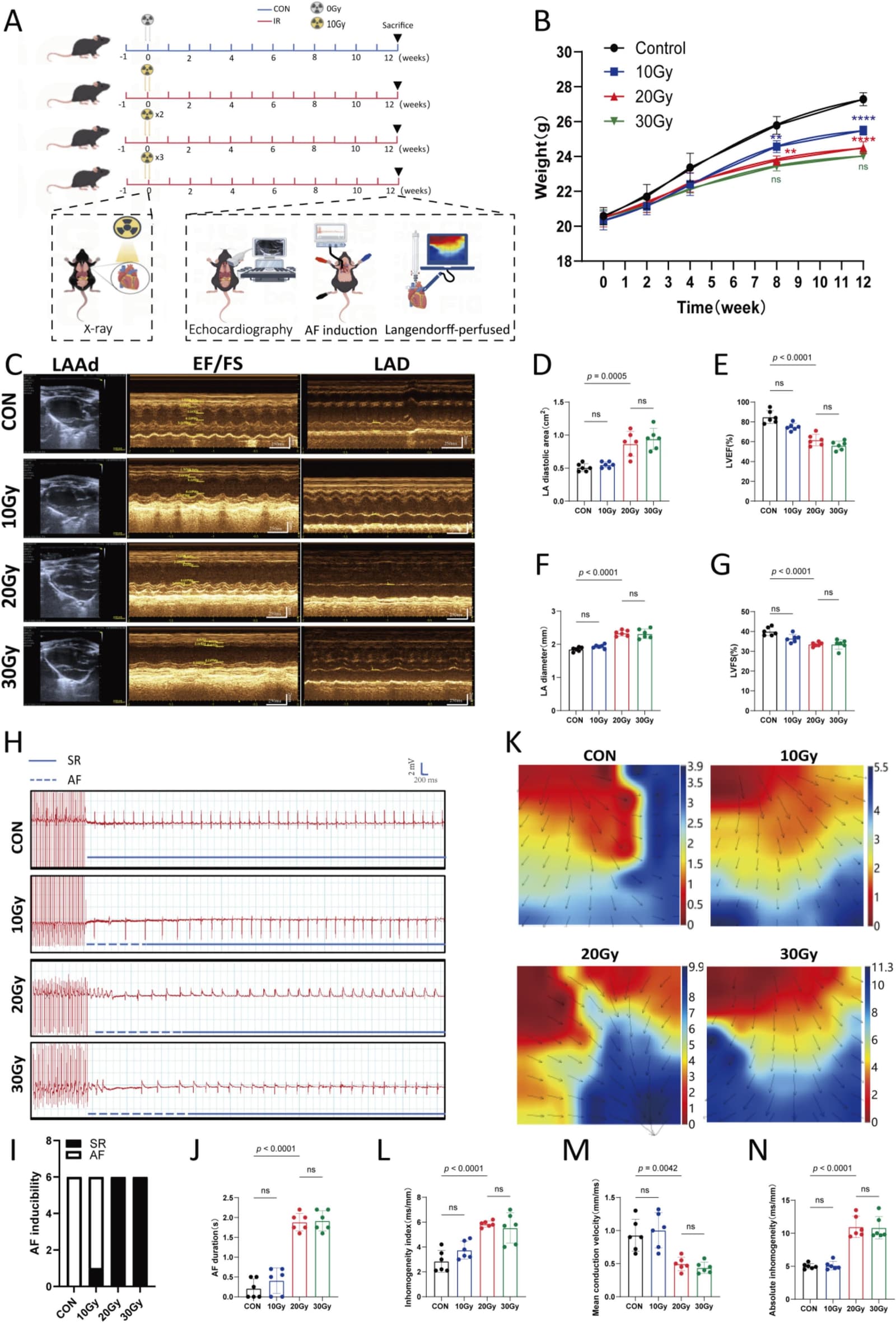 Figure 1 from International Immunopharmacology
