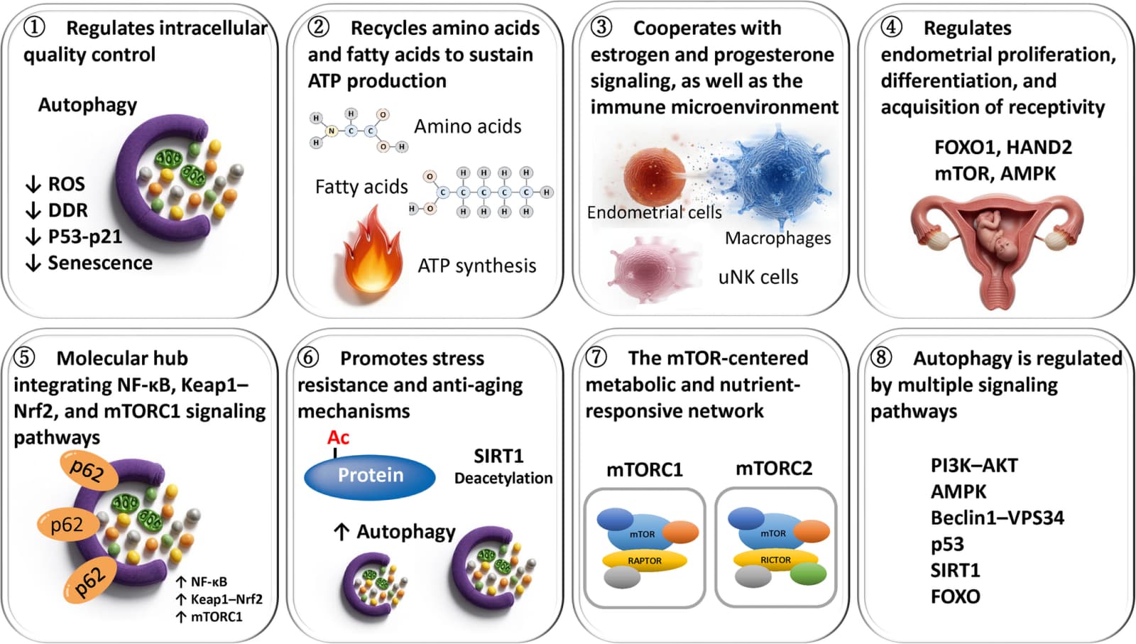 Figure 1 from Reproductive Sciences