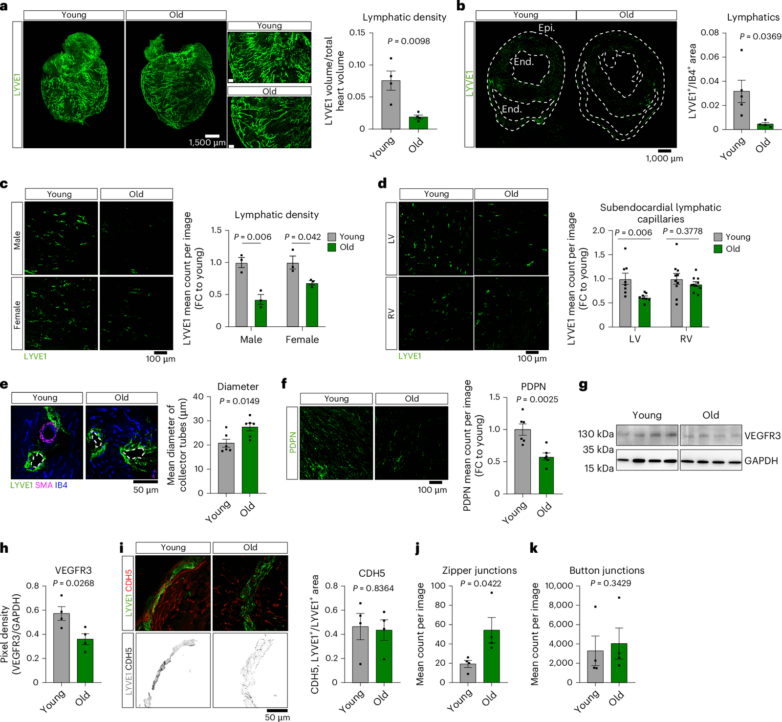 Figure 1 from Nature Cardiovascular Research