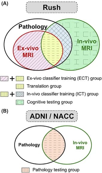 Figure 1. Venn diagram illustrating participant groups.