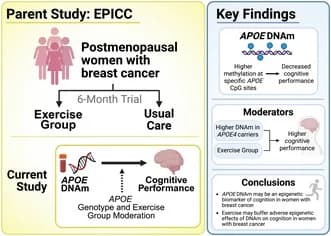 Graphical abstract from Molecular Genetics & Genomic Medicine