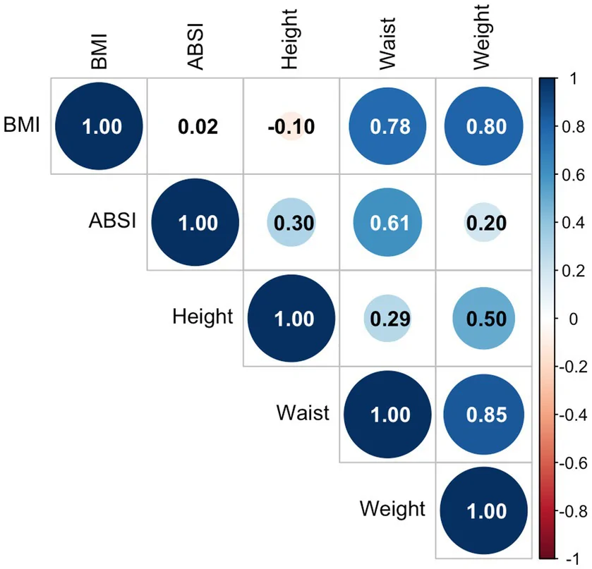 Figure 1. Correlation matrix between anthropometric measures.