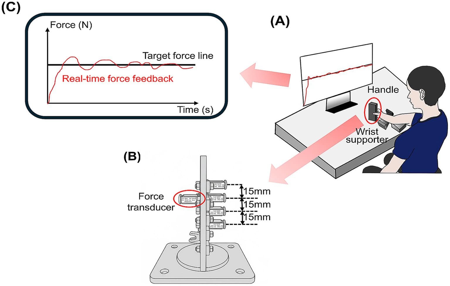 Figure 1 from Frontiers in Human Neuroscience