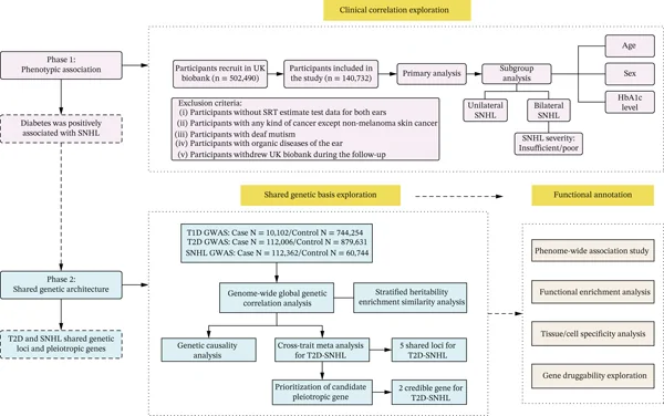Figure 1. Study design and analysis workflow.