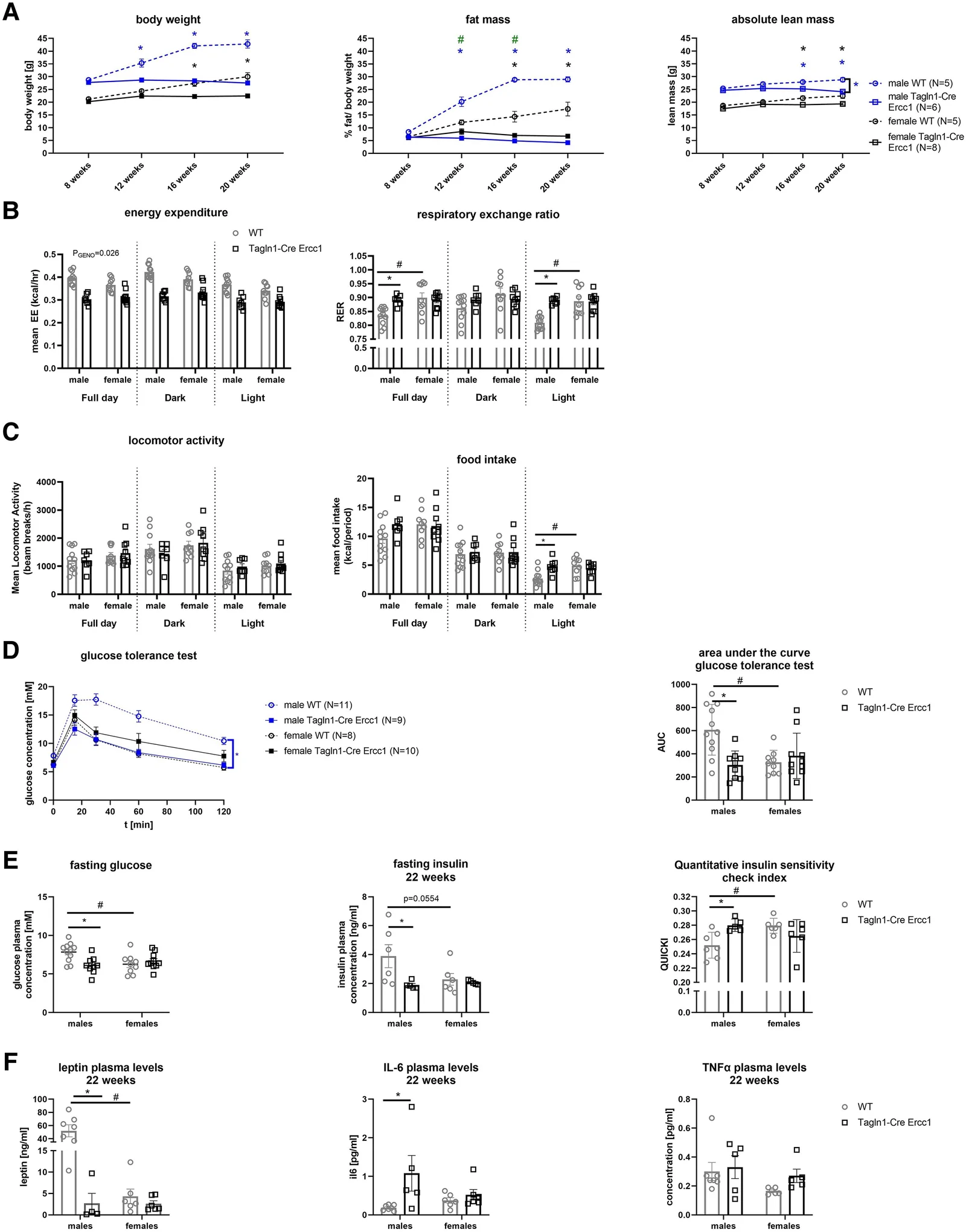 Figure 1. Metabolic parameters measured in wild-type (WT) and Tagln1-Cre–driven Ercc1 knockout (KO; Tagln1-Cre Ercc1) mice.