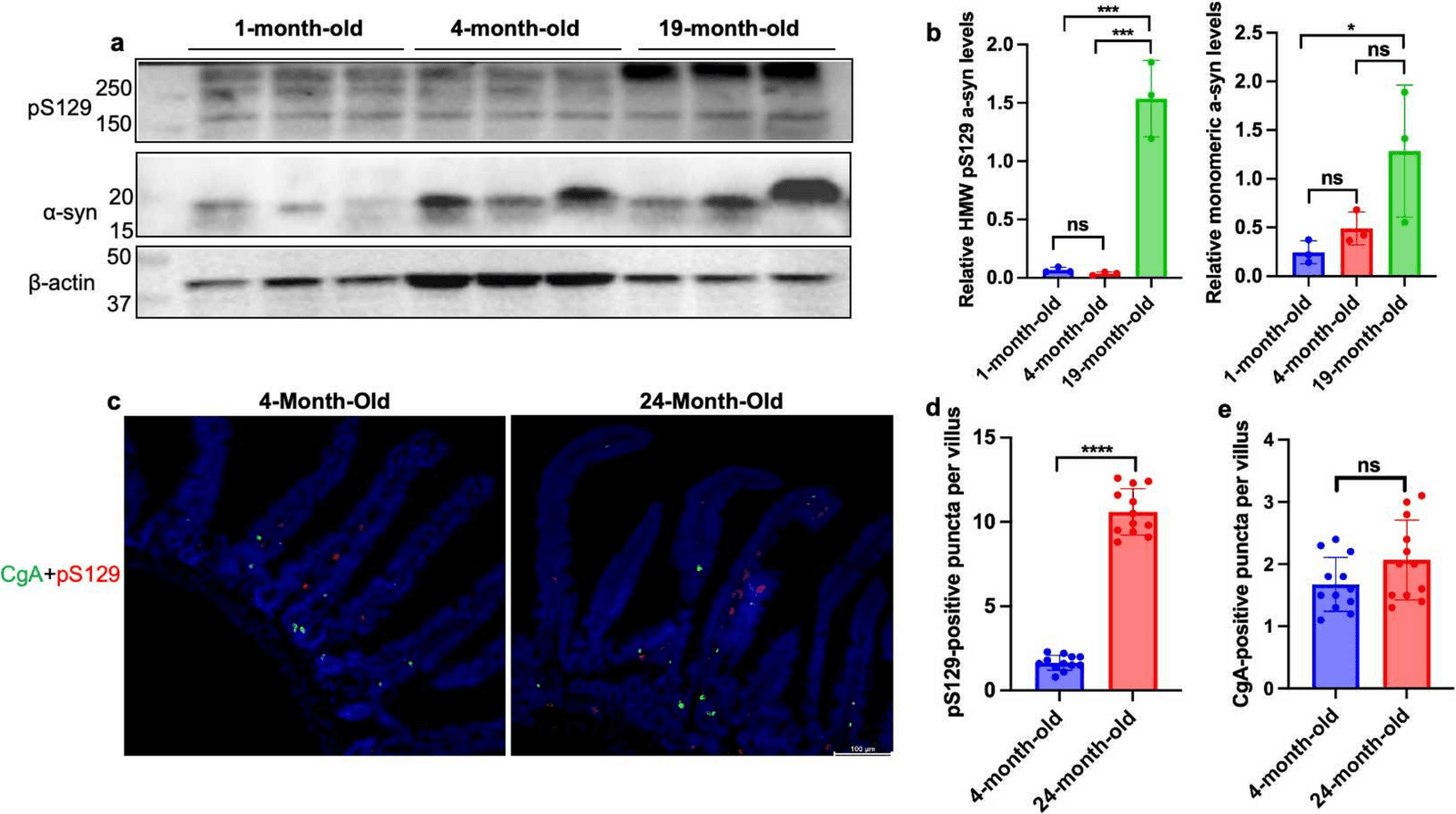 Figure 1 from Molecular Neurobiology