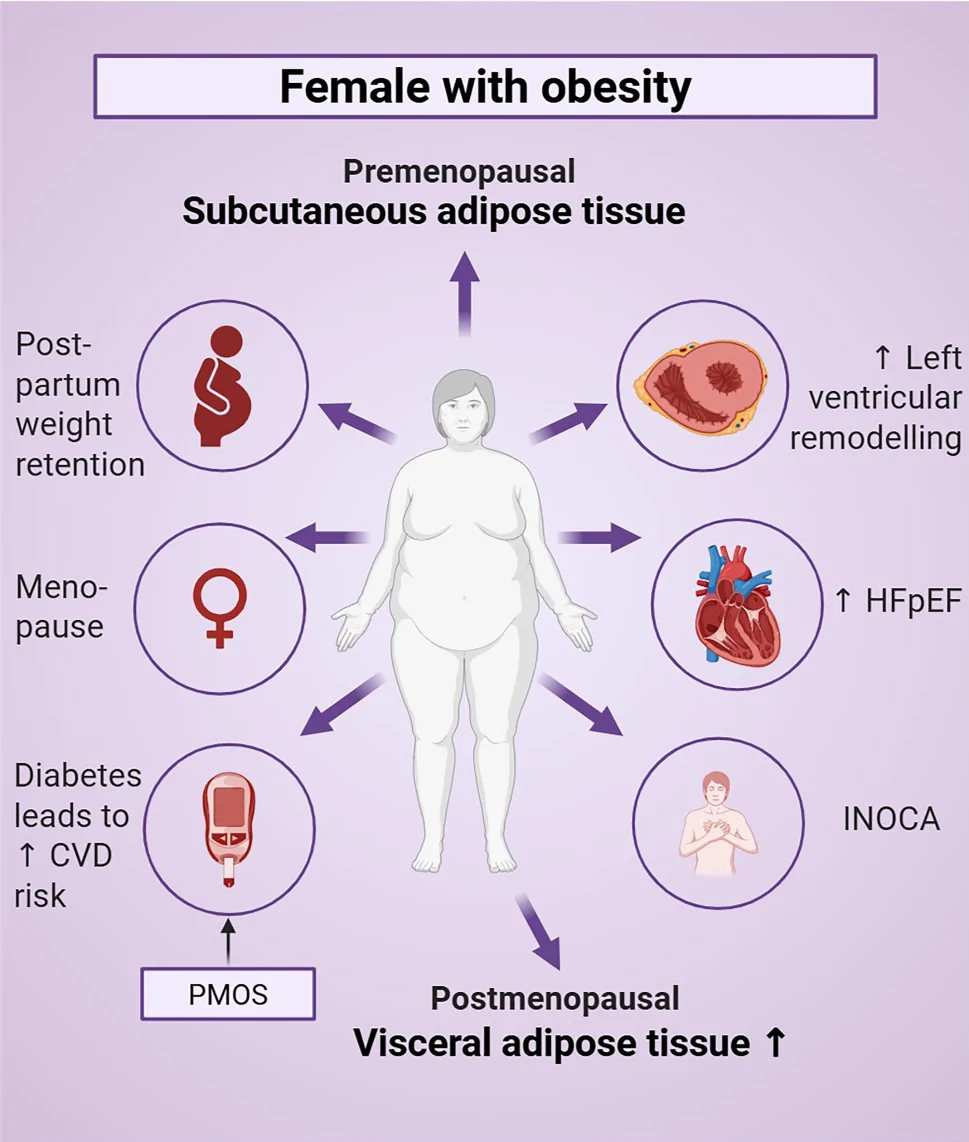 Fig. 1. Clinical considerations of obesity in women.