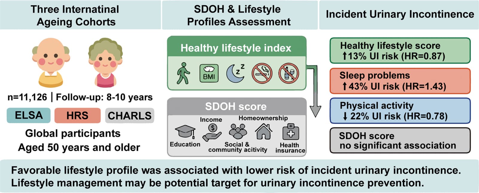 Graphical abstract from Archives of Gerontology and Geriatrics