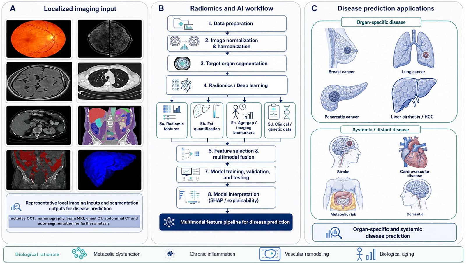 Figure 1 from Artificial Intelligence in Medicine