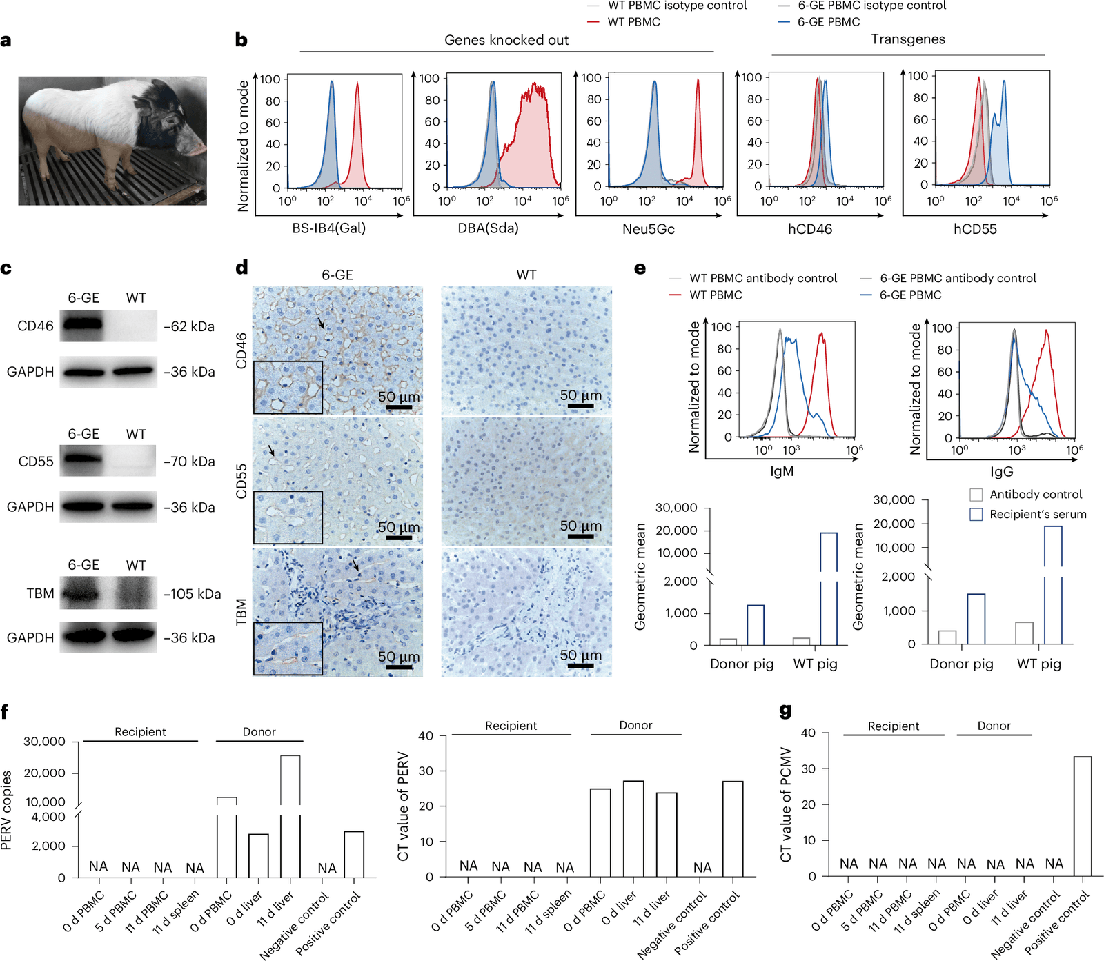 Figure 1 from Nature Biomedical Engineering