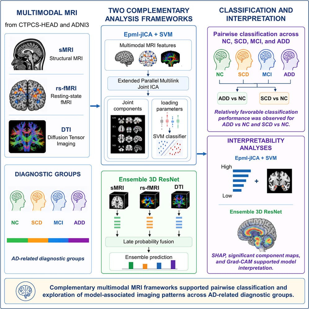 Graphical abstract from iScience