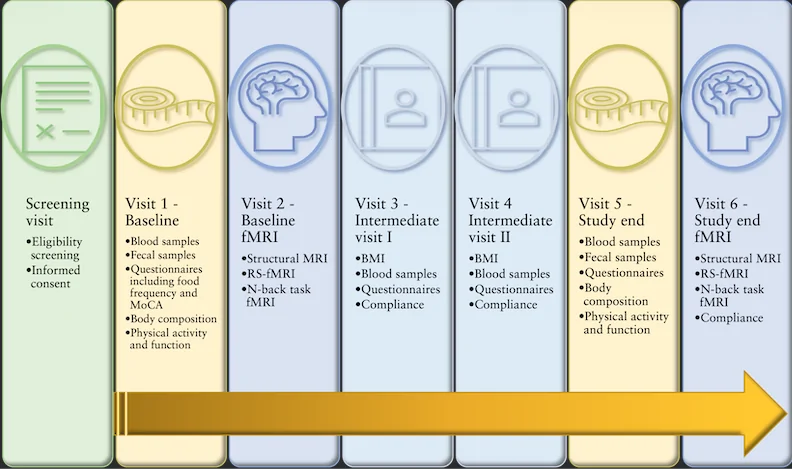 Figure 1. Timeline of study visits.