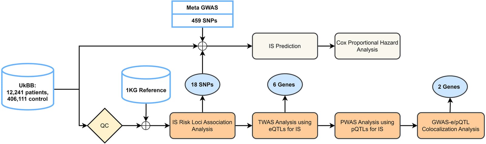 Figure 1 from Computer Methods and Programs in Biomedicine