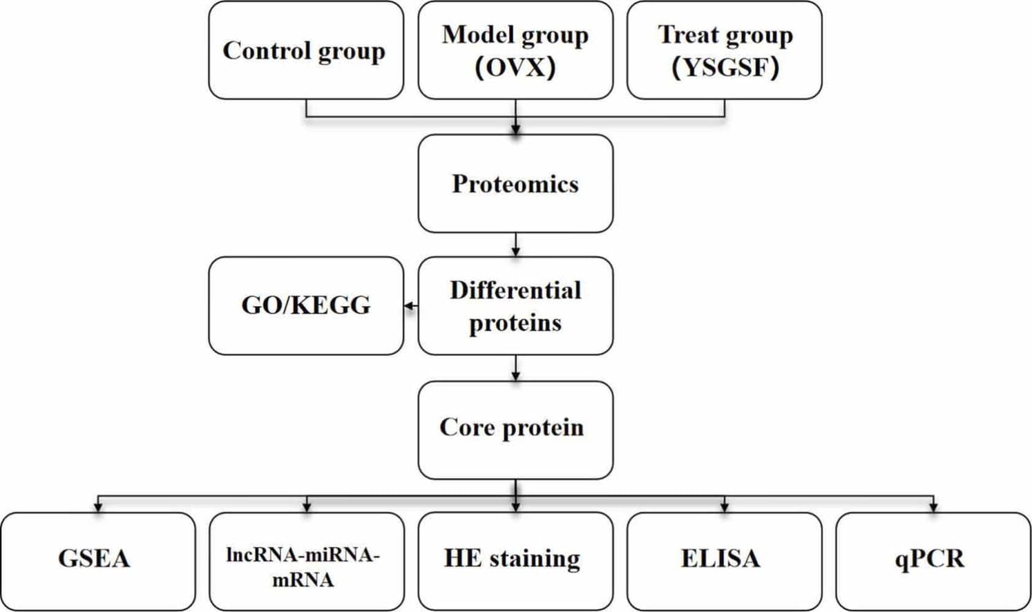 Graphical abstract from Computational Biology and Chemistry