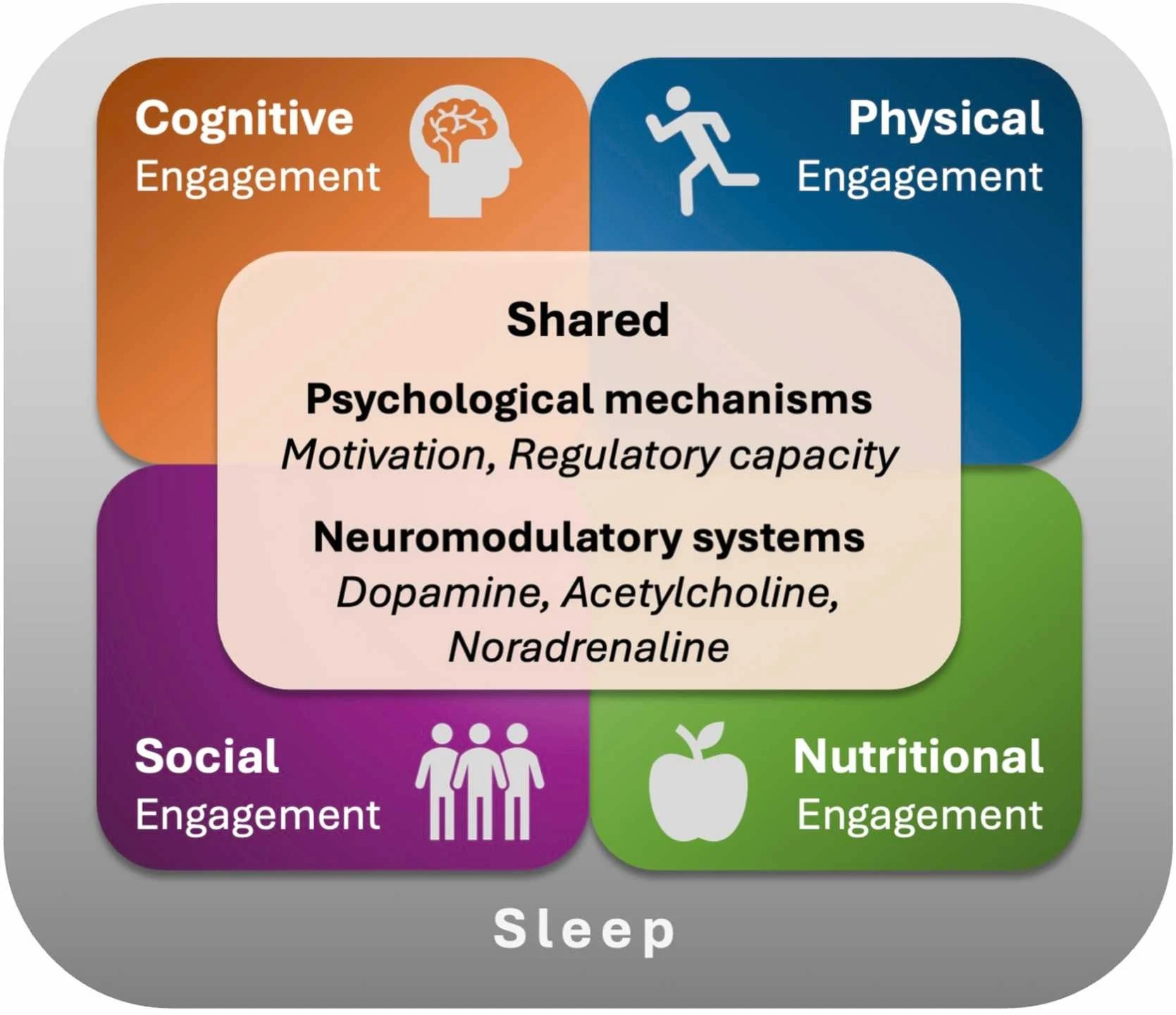 Figure 1 from Neuroscience and Biobehavioral Reviews