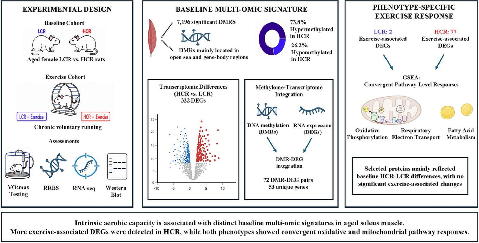 Graphical abstract from Journal of Sport and Health Science