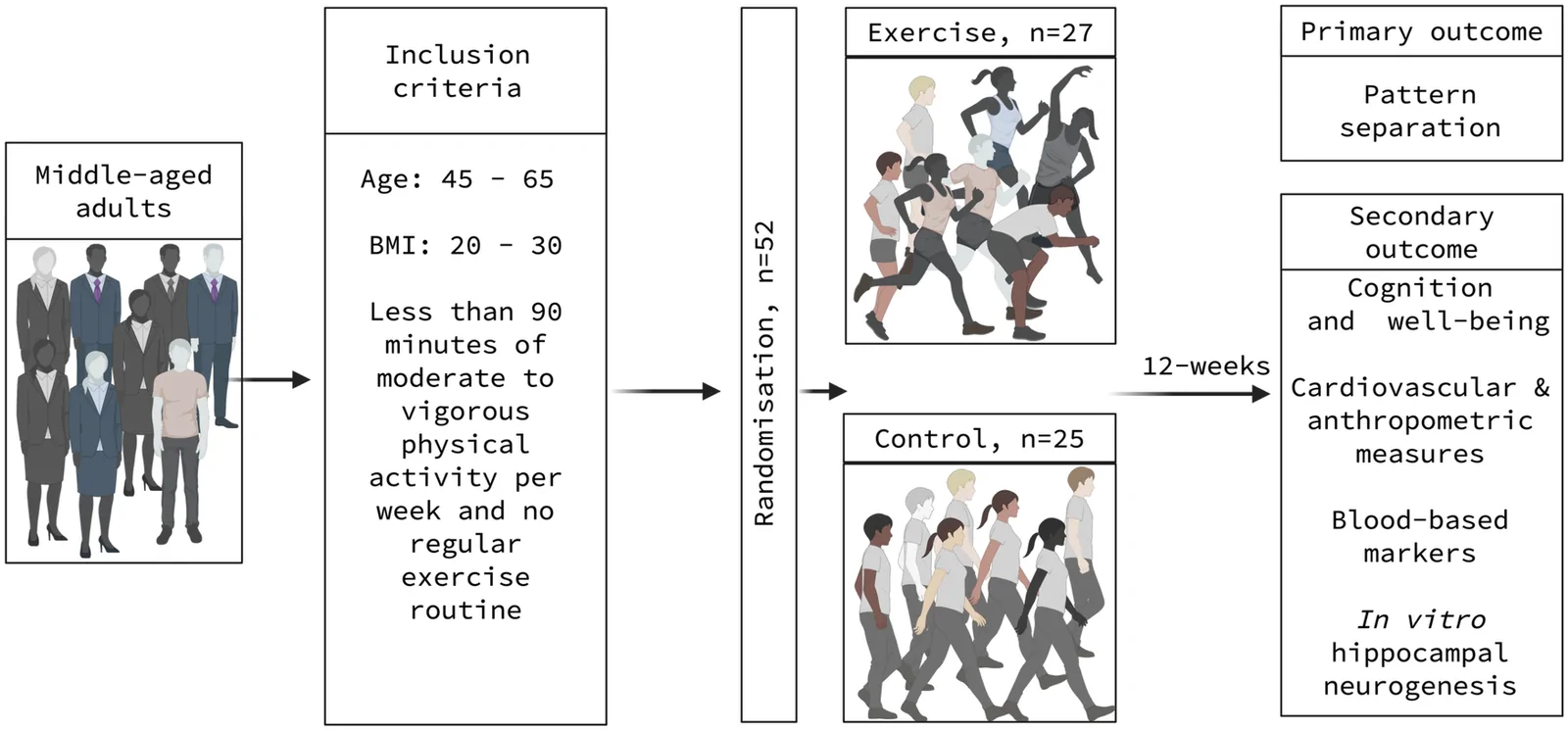Fig. 1. NeuroFit randomised controlled trial.