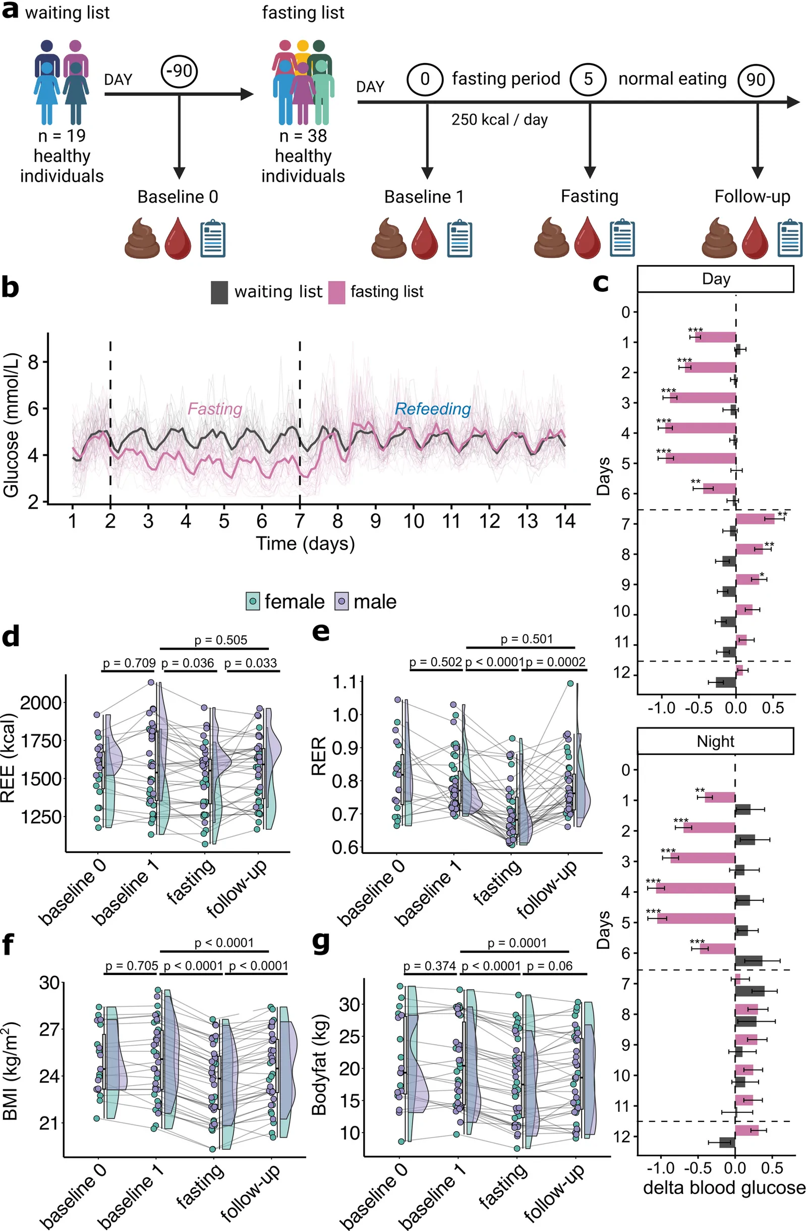 Fig. 1. Physiological effects of prolonged fasting in healthy individuals.