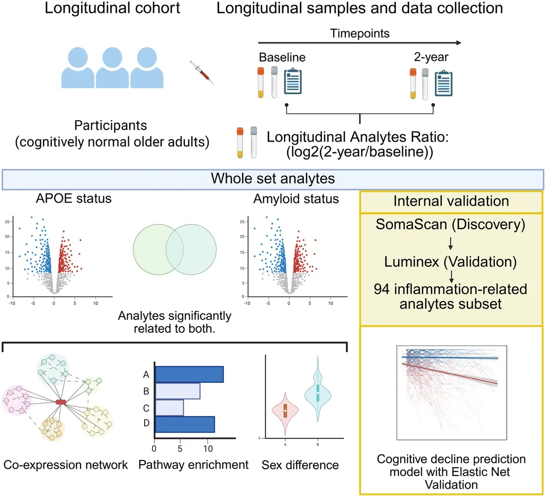 Figure 1. A framework for comparing dynamic analyte levels between baseline and 2‐year follow‐up in cognitive decline.