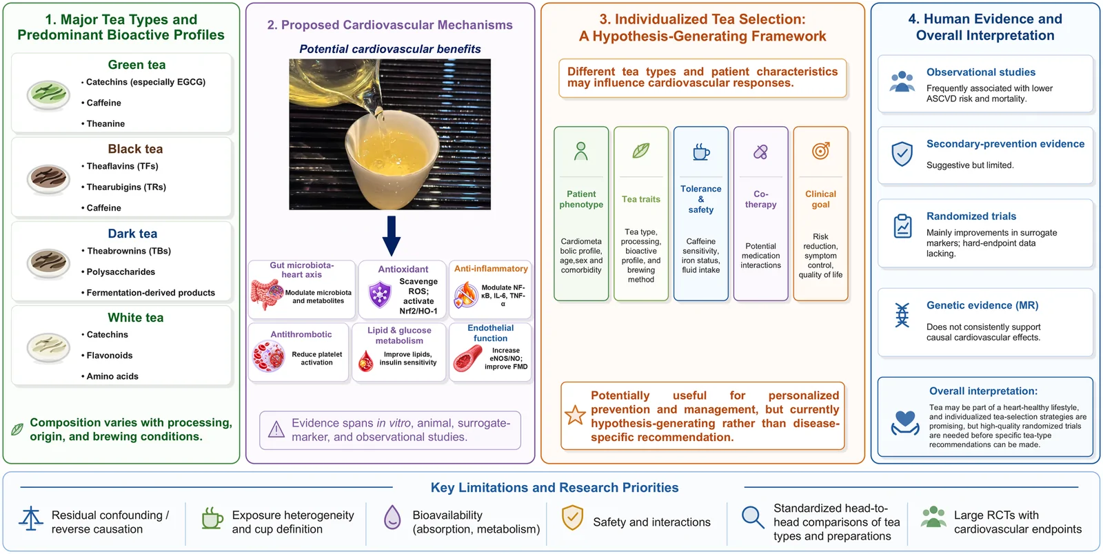 Figure 1. Mechanistic rationale, clinical evidence, and a hypothesis-generating framework for individualized tea consumption strategies in cardiovascular health.