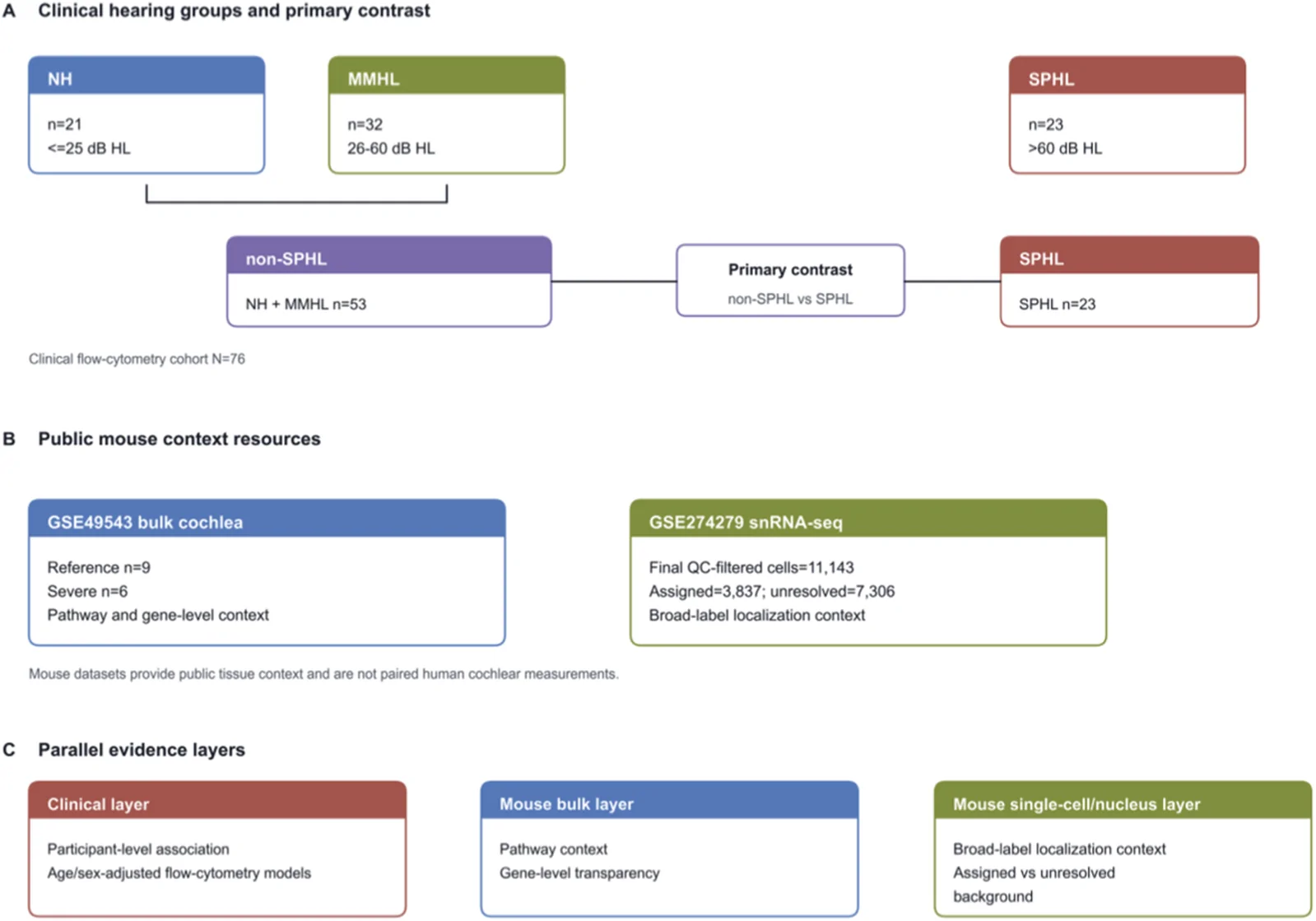 Figure 1. Study design and evidence framework summarize the clinical cohort, the primary SPHL versus non-SPHL contrast, and the two public mouse cochlear context resources.