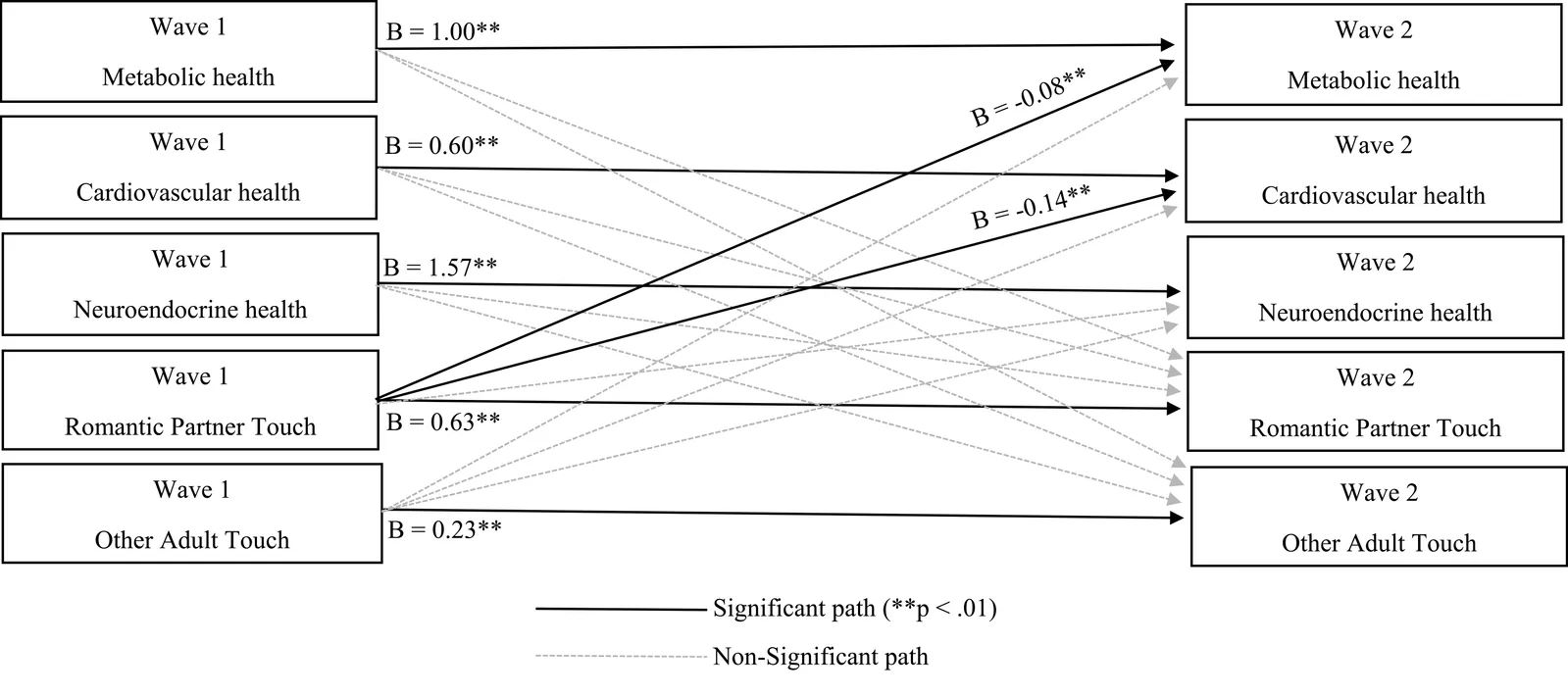 Fig. 1. Cross-lagged associations between Wave 1 and 2 metabolic, cardiovascular, and neuroendocrine health variables, and touch frequency variables.