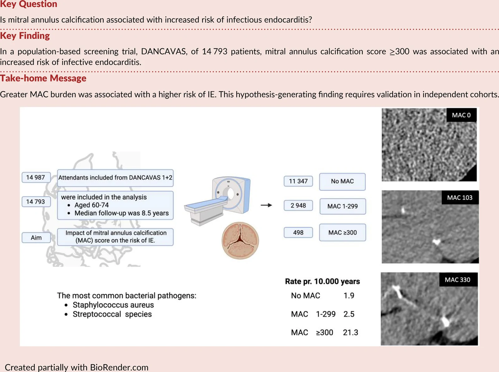 Graphical abstract from European Heart Journal Open