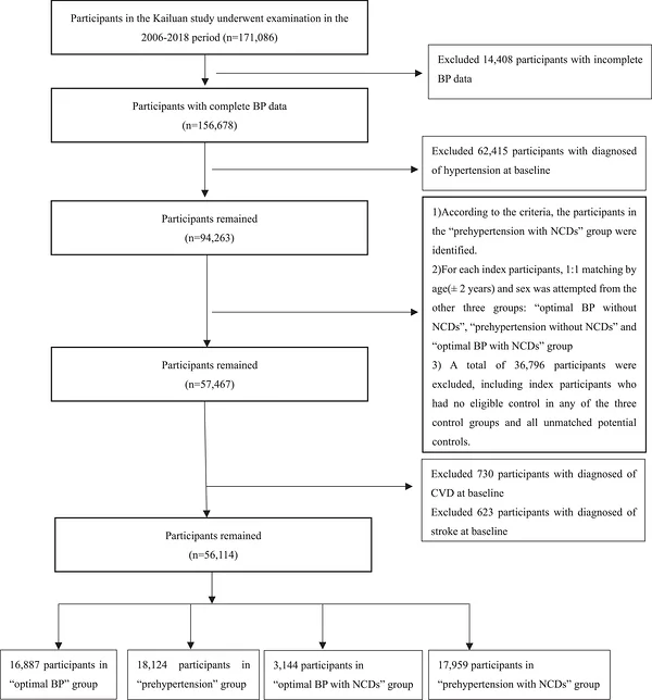 Figure 1. Flow chart of the current study.