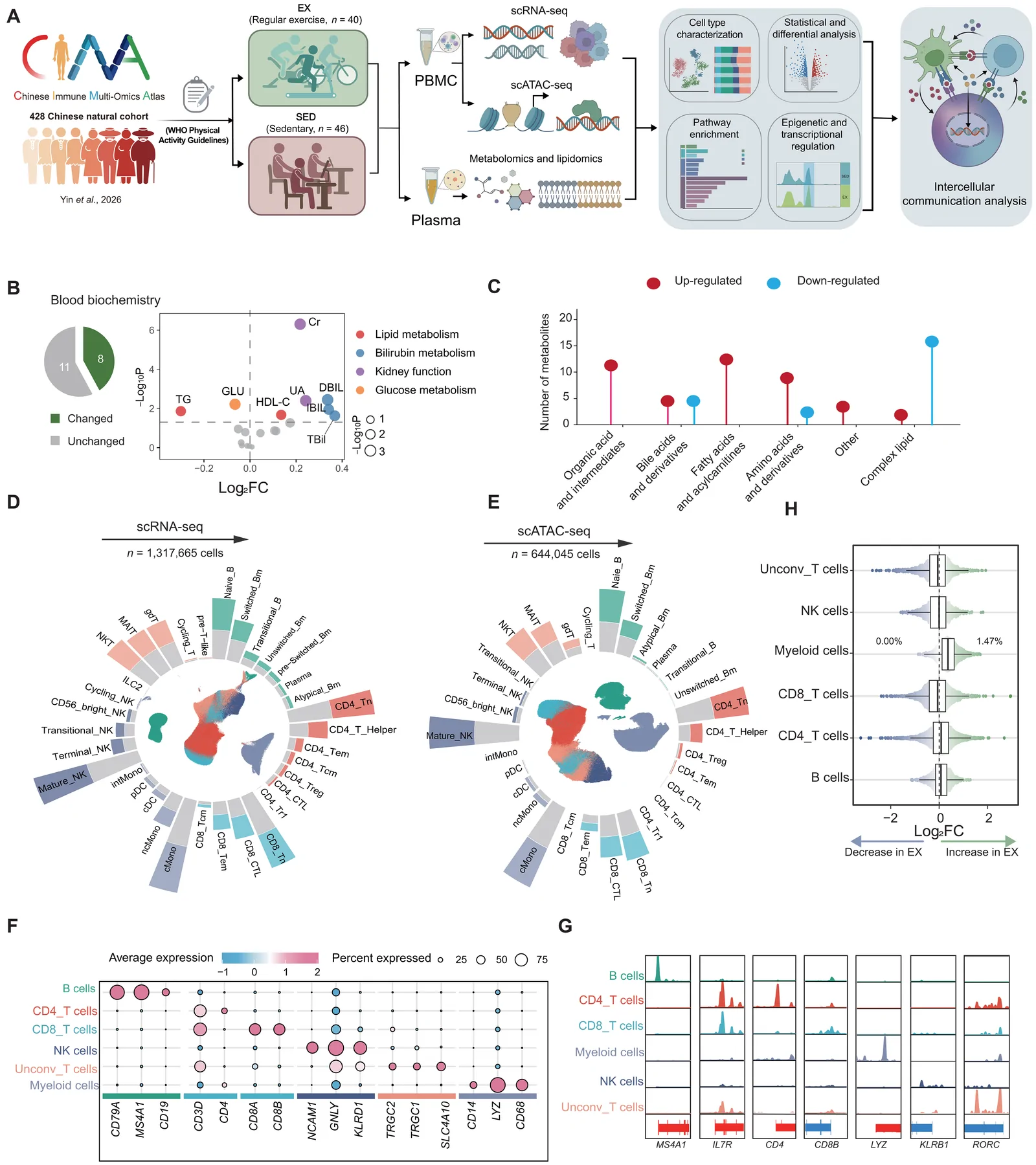 Fig. 1. Study overview and multiomics characterization of regular exercisers and sedentary controls.