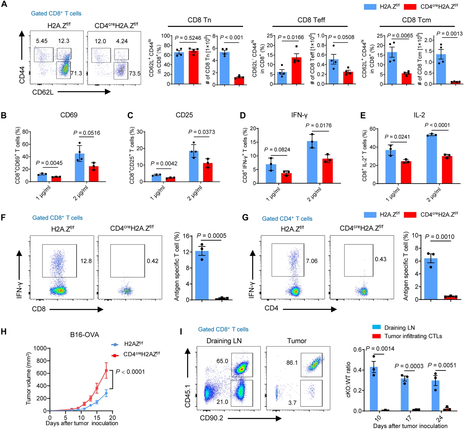 Fig. 1. H2A.Z is required for naïve T cell homeostasis and response.