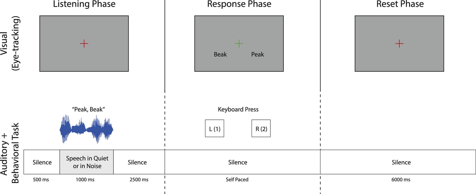 Figure 1 from Hearing Research