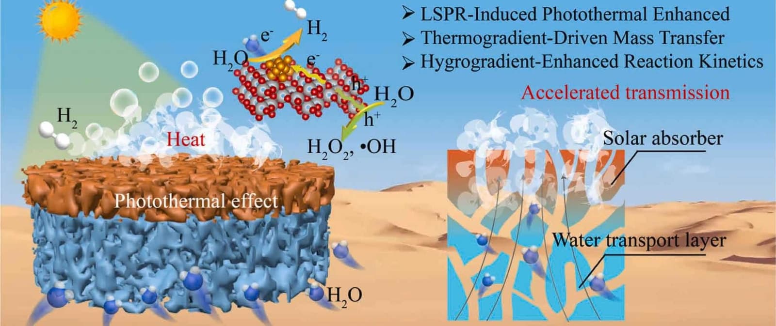 Graphical abstract from Pathology, Research and Practice