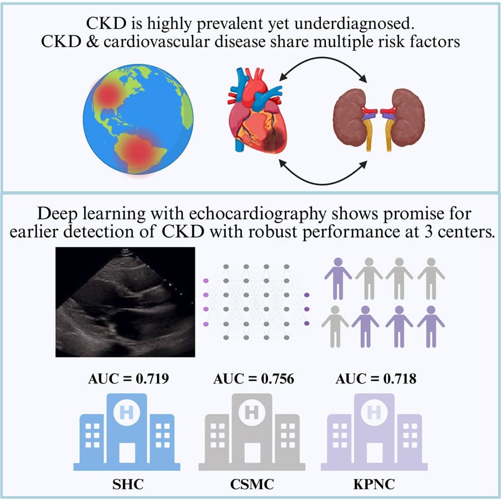 Graphical abstract from Med