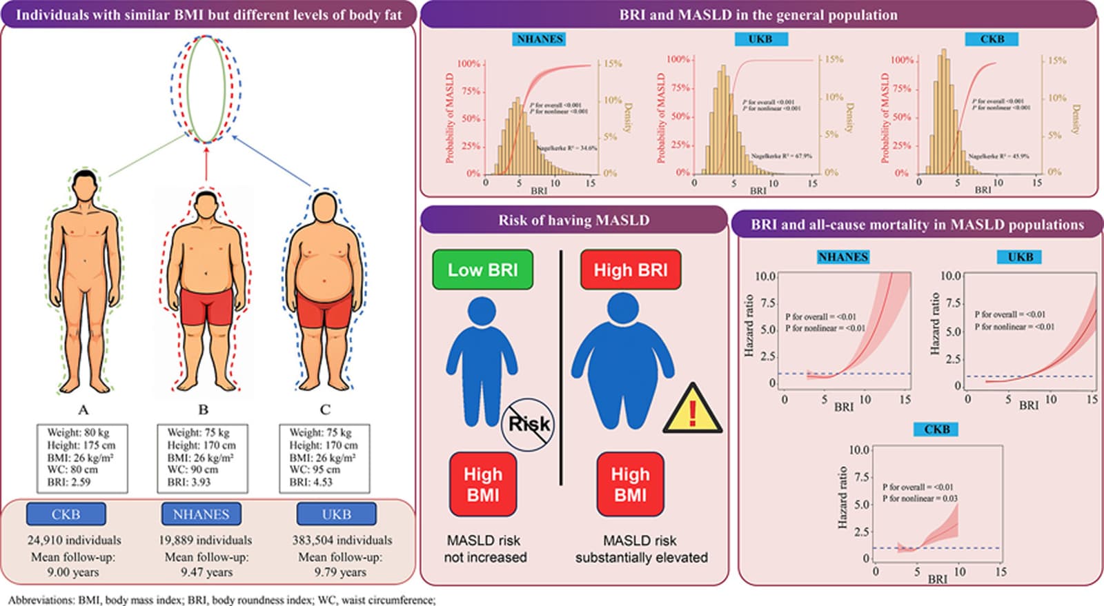 Graphical abstract from JHEP Reports