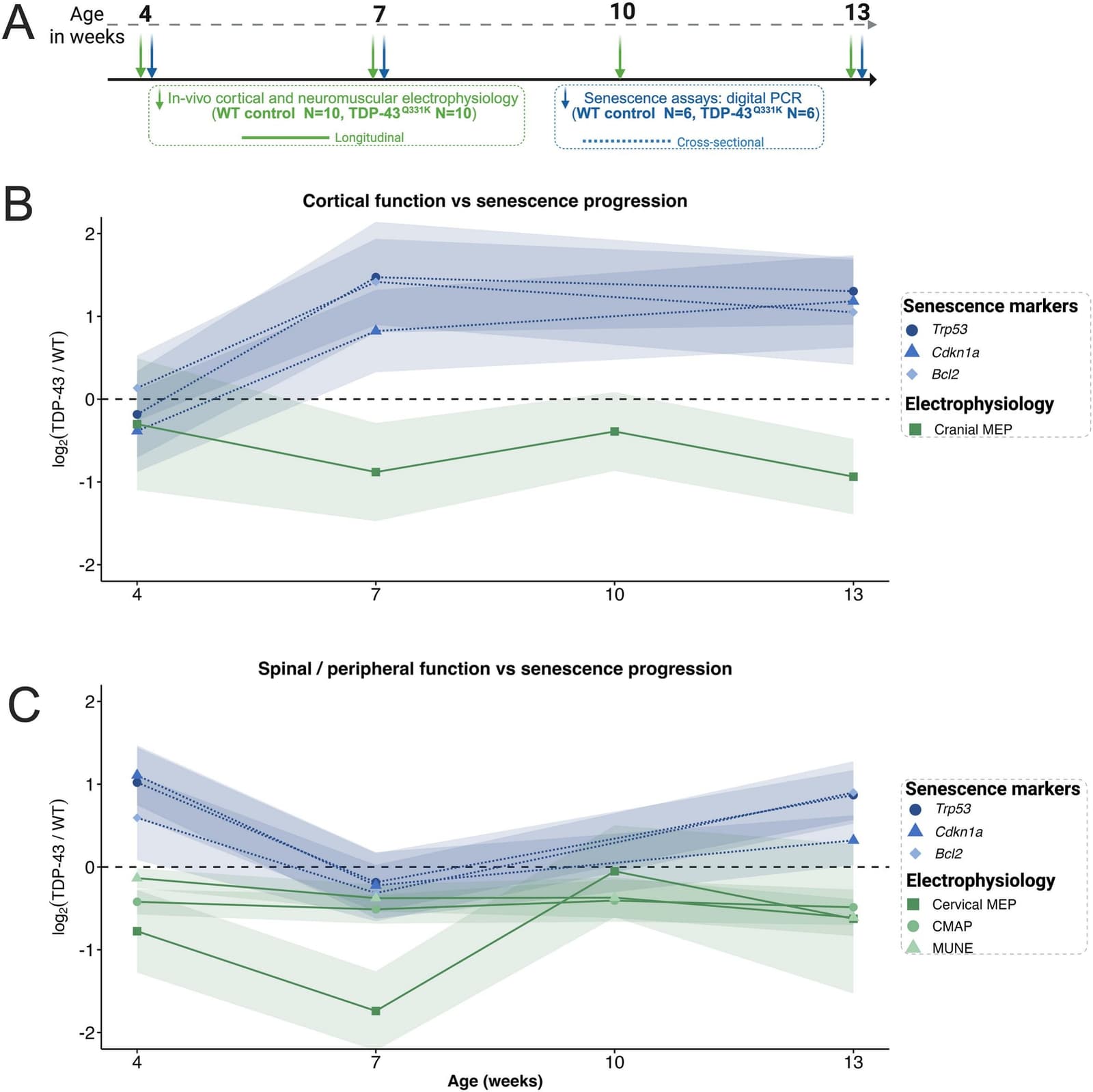 Figure 1 from Neurobiology of Disease