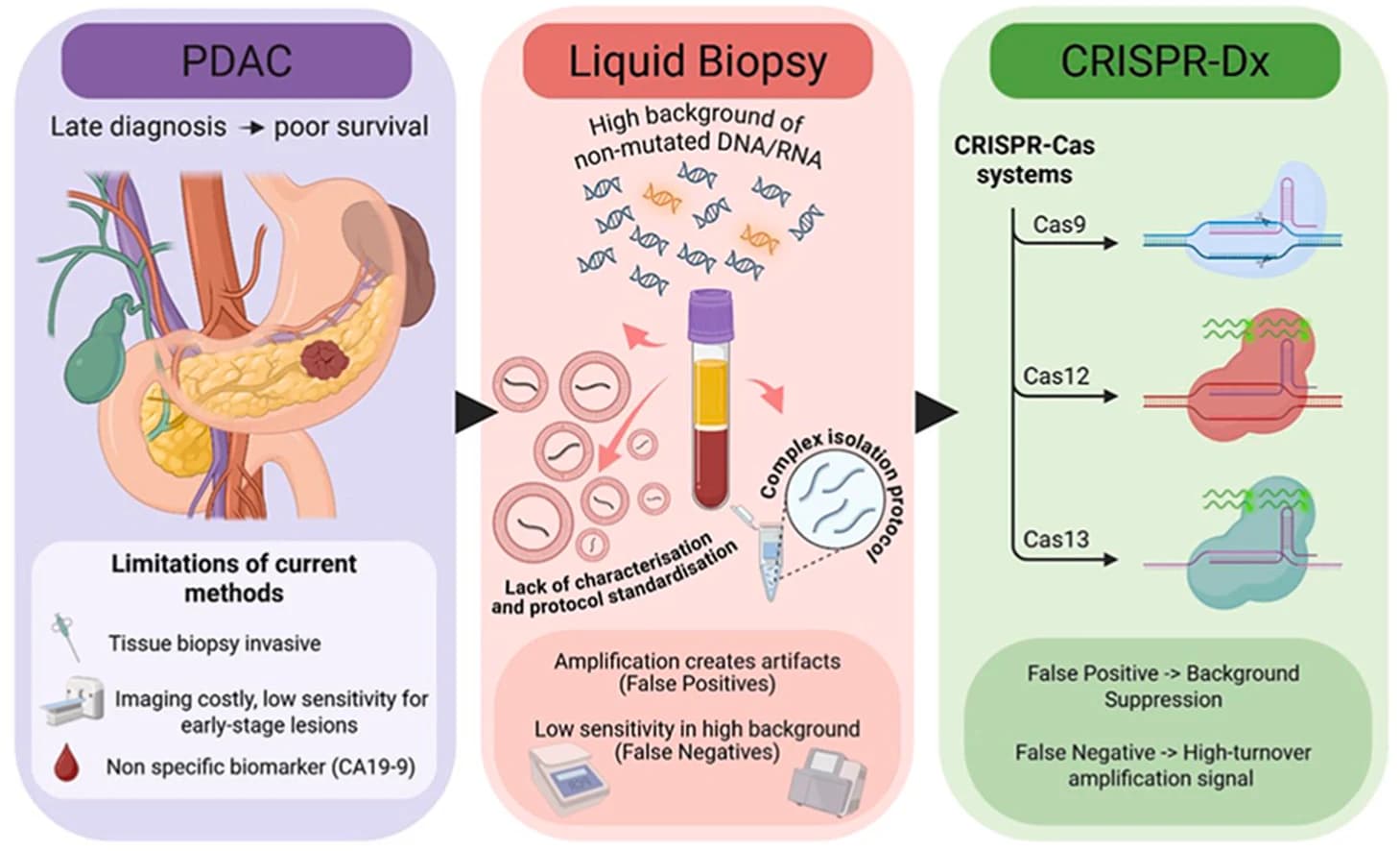 Graphical abstract from Cancer Letters