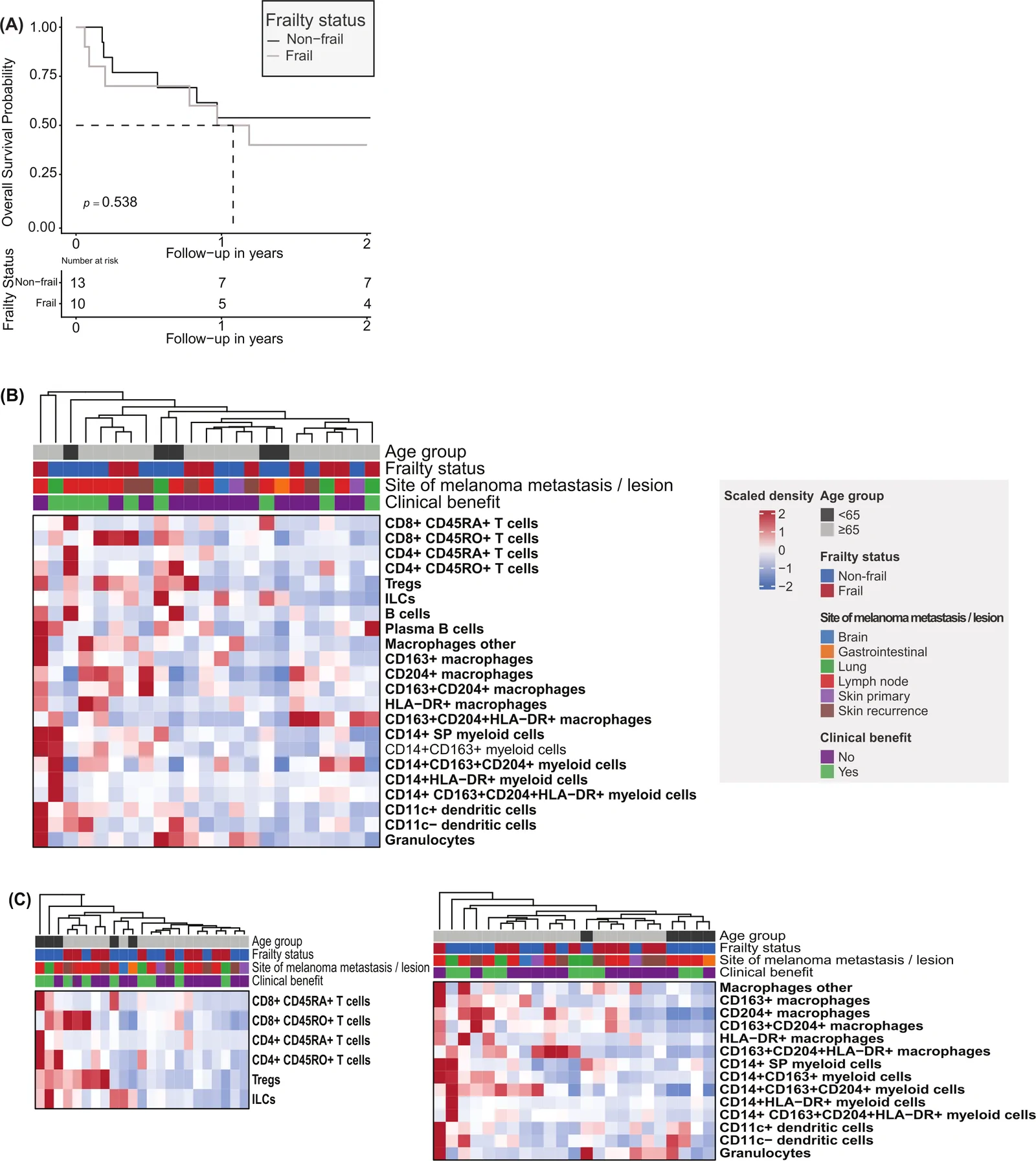 Figure 1. Frailty status does not associate with survival or tumor immune composition in patients with melanoma.