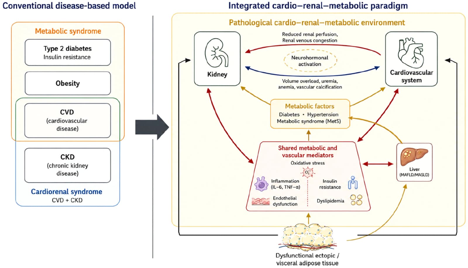 Figure 1 from European Journal of Internal Medicine