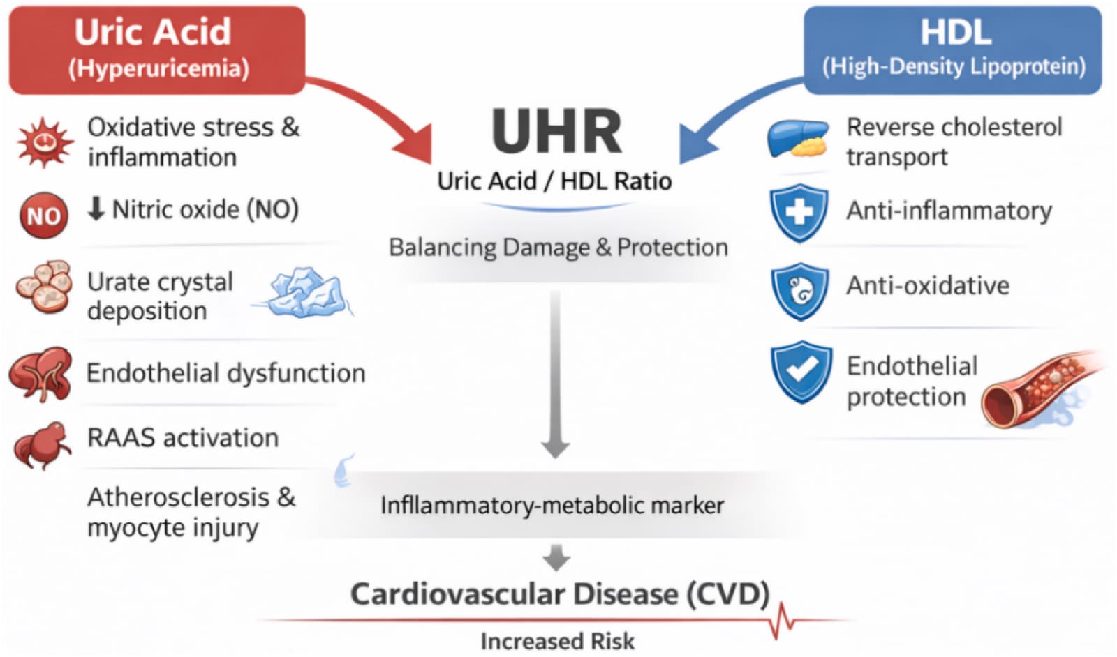 Figure 1 from Nutrition, Metabolism, and Cardiovascular Diseases