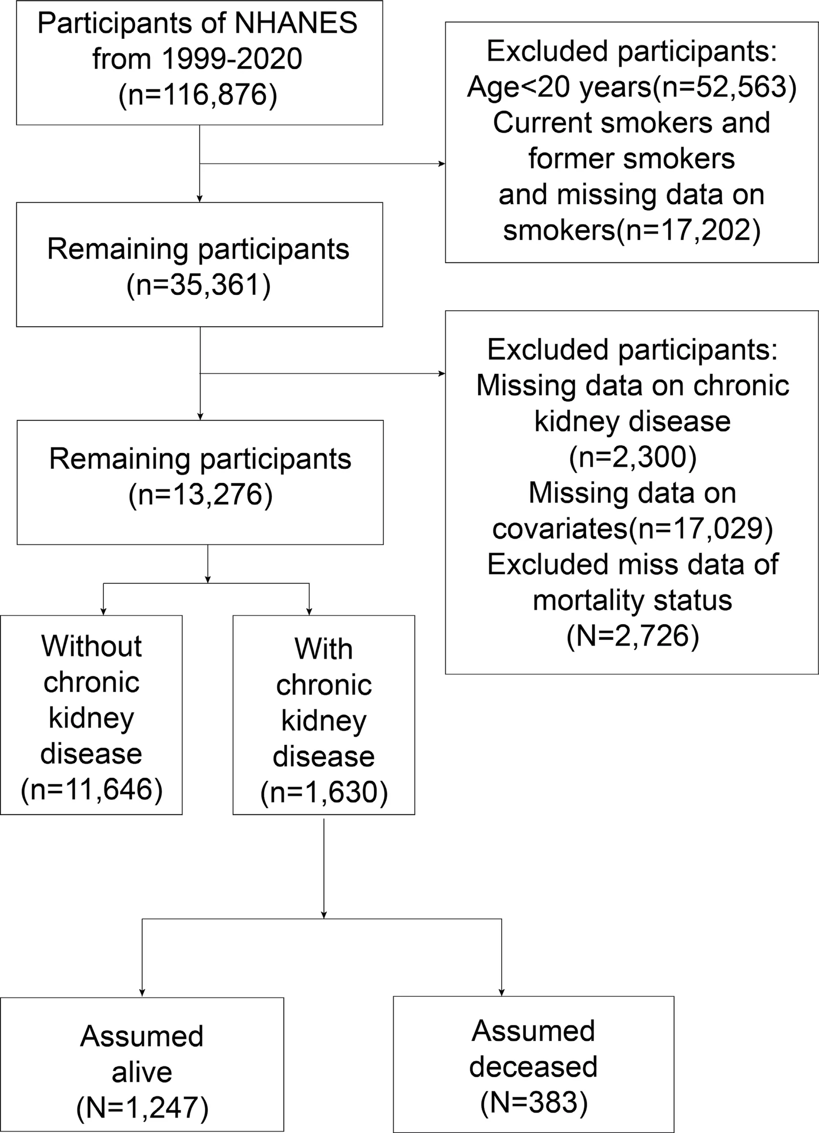 Figure 1. Flow diagram of participant screening and inclusion.