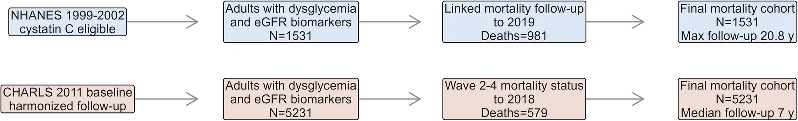 Figure 1. Study design and analytic cohorts.
