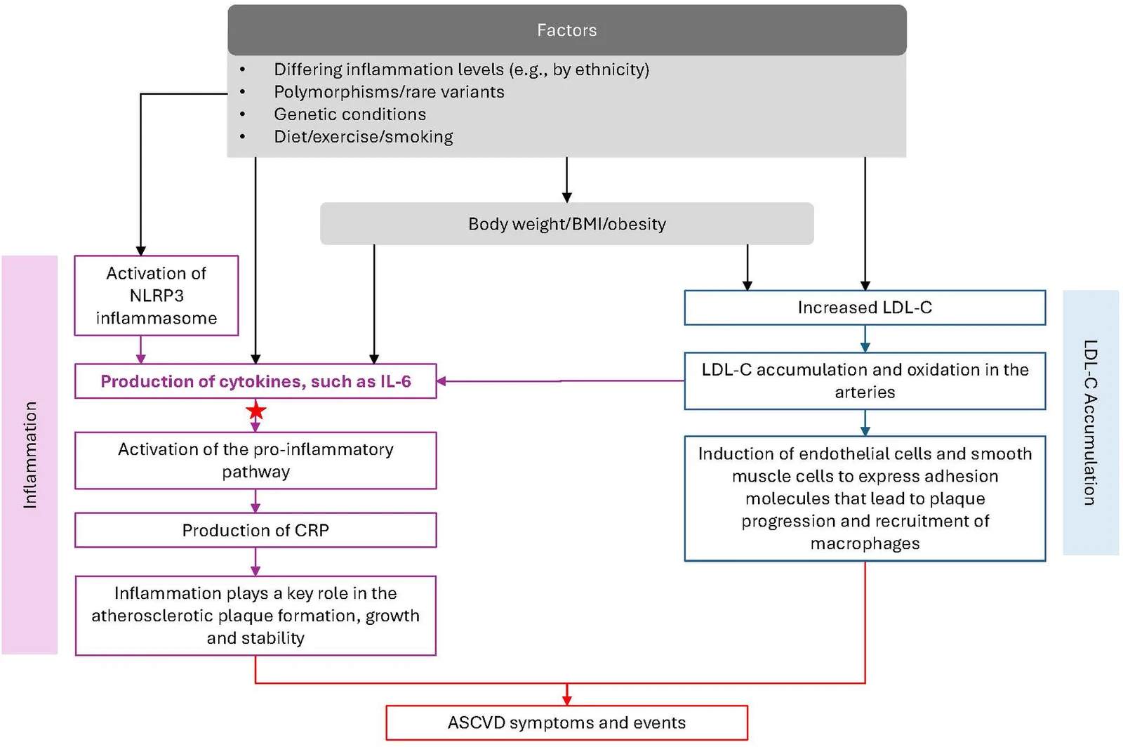 Figure 1. Relationship of factors affecting IL-6 and LDL-C in ASCVD and potential for targeting IL-6 in ASCVD management.