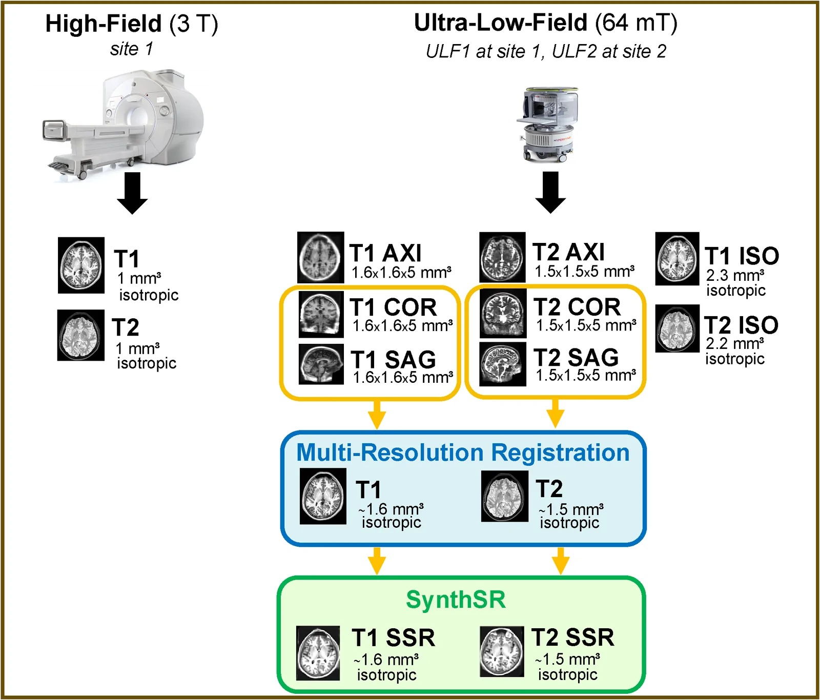 Fig. 1. A total of 14 scan types were available.