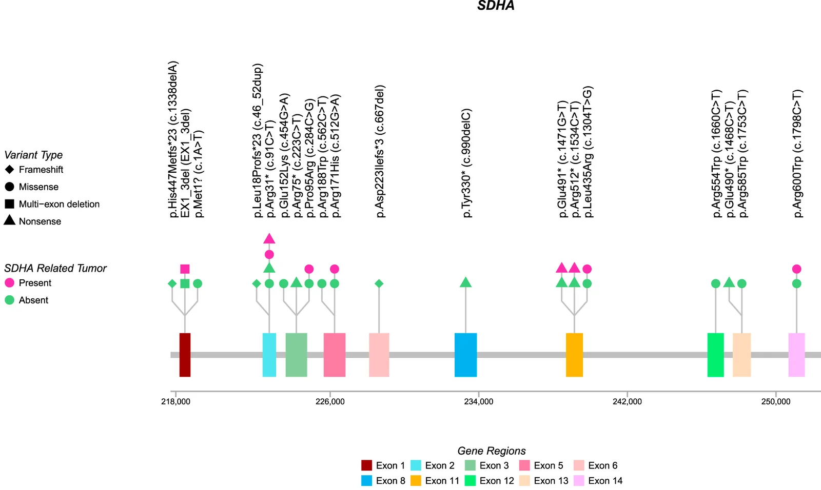 Figure 1. Location of identified pathogenic or likely pathogenic SDHA variants.